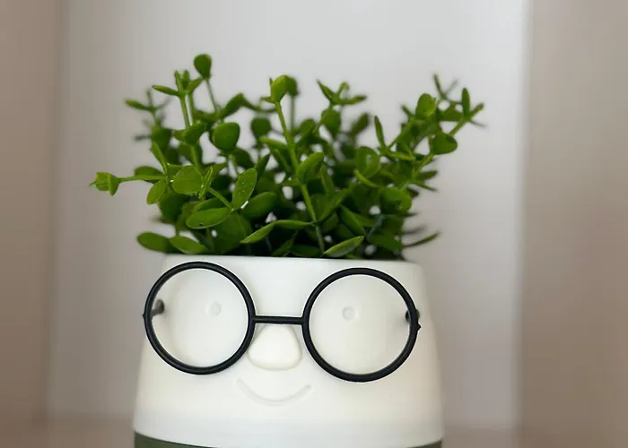 1bd Flat Near Maritsa River And Center Daire